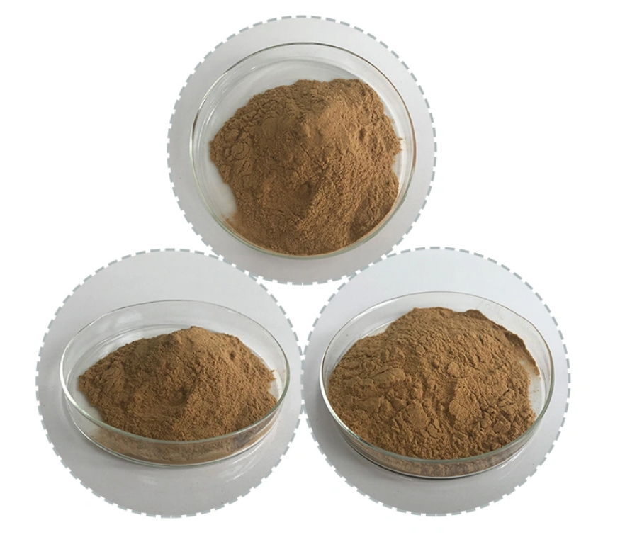 Supply 10% Polysaccharide Cactus Extract Powder